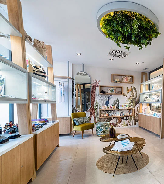Muebles de exposición y vitrinas de madera en un interior comercial